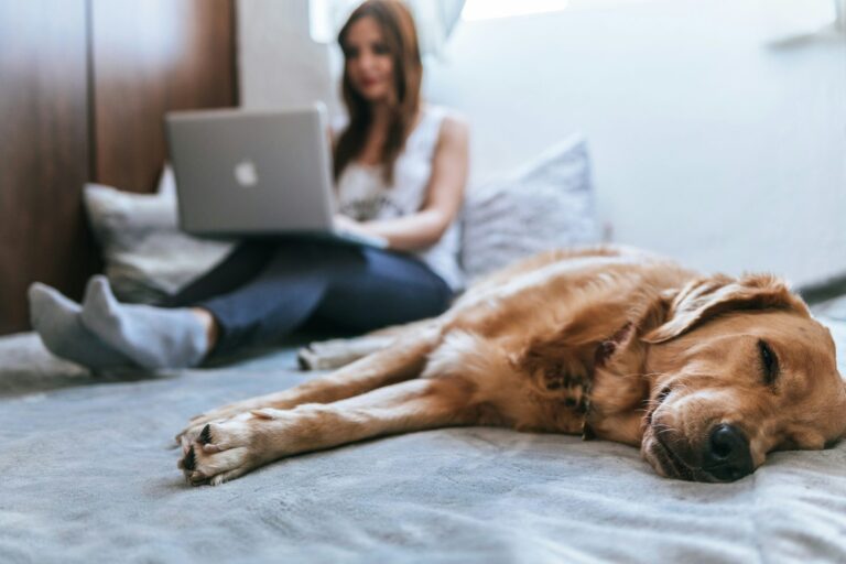 A woman working on her laptop on the bed while her golden retriever sleeps beside her