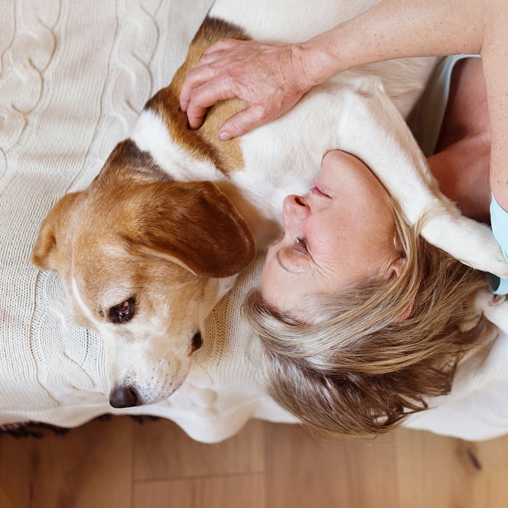 A woman resting her head against her beagle on a cream knit blanket