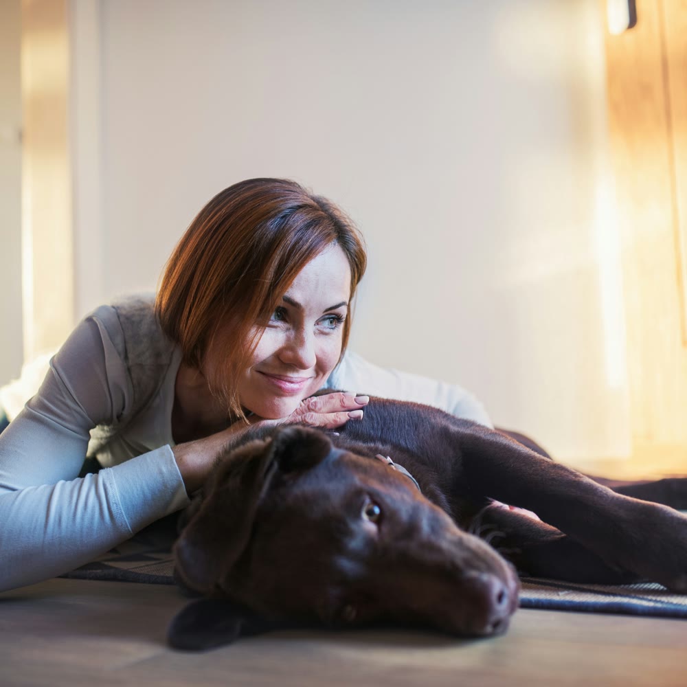 A smiling woman lying on the floor beside her chocolate Labrador in warm window light